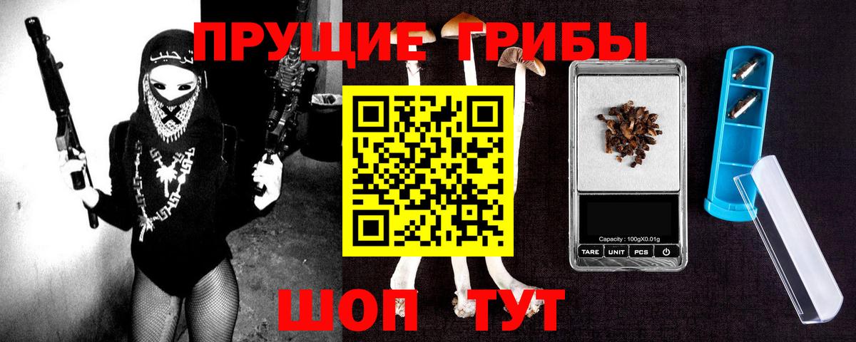 Галлюциногенные грибы Psilocybe  Вологда  Галлюциногенные грибы MAGIC MUSHROOMS 