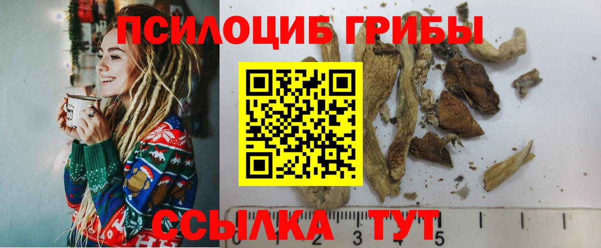 Псилоцибиновые грибы MAGIC MUSHROOMS  цены   Вологда  Вход с VPN  Галлюциногенные грибы мицелий 