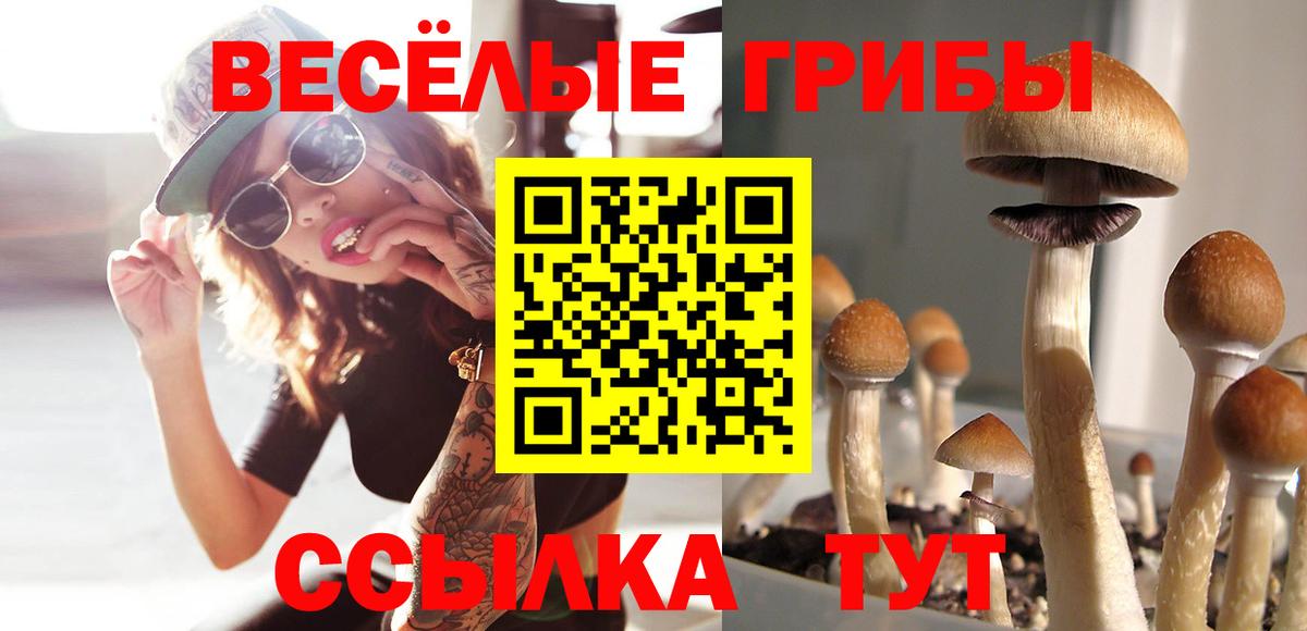 Галлюциногенные грибы Magic Shrooms Вологда